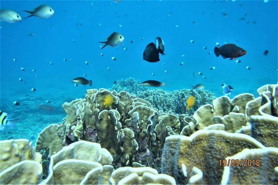 Pulau Weh Paradise Sabang (Weh Island) Exterior foto