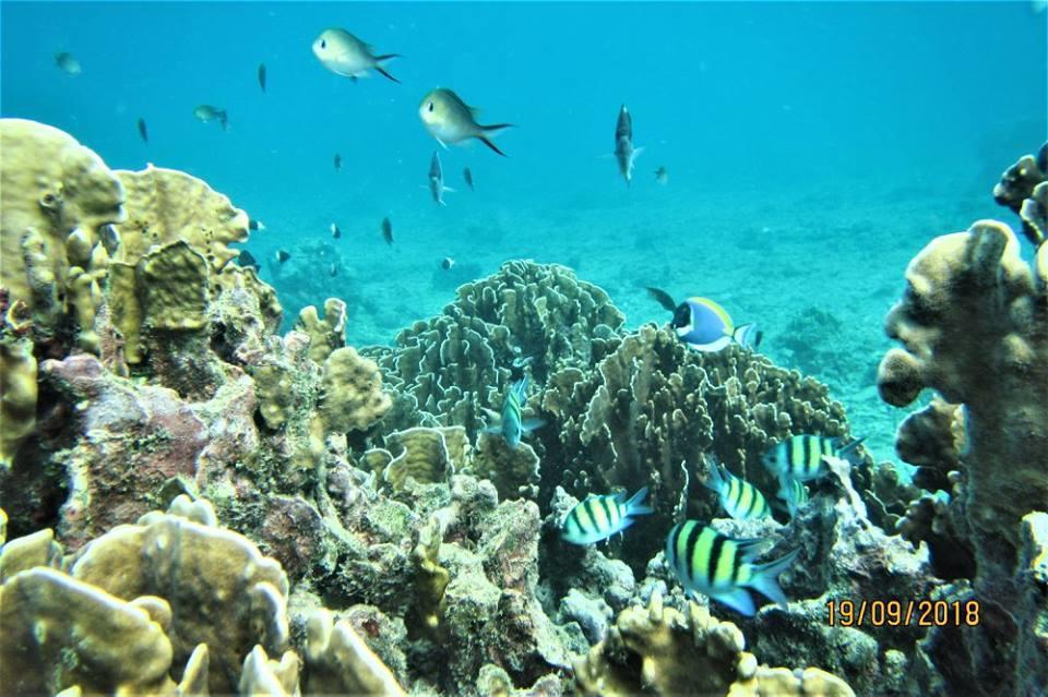 Pulau Weh Paradise Sabang (Weh Island) Exterior foto